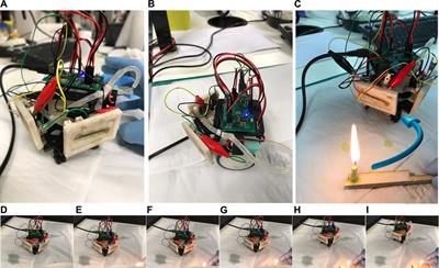 Microbial Fuel Cell Based Thermosensor for Robotic Applications